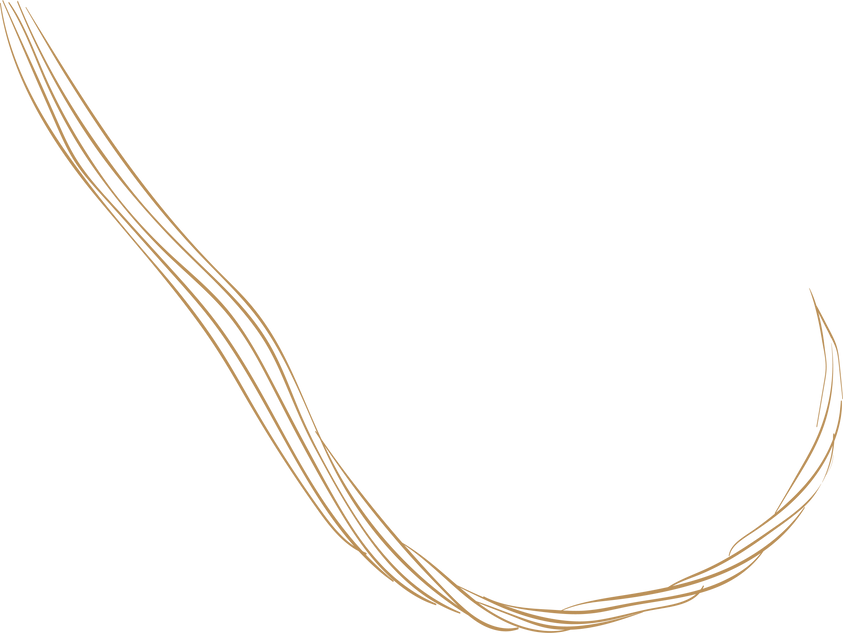 Brown Simple Flower Line Art Element